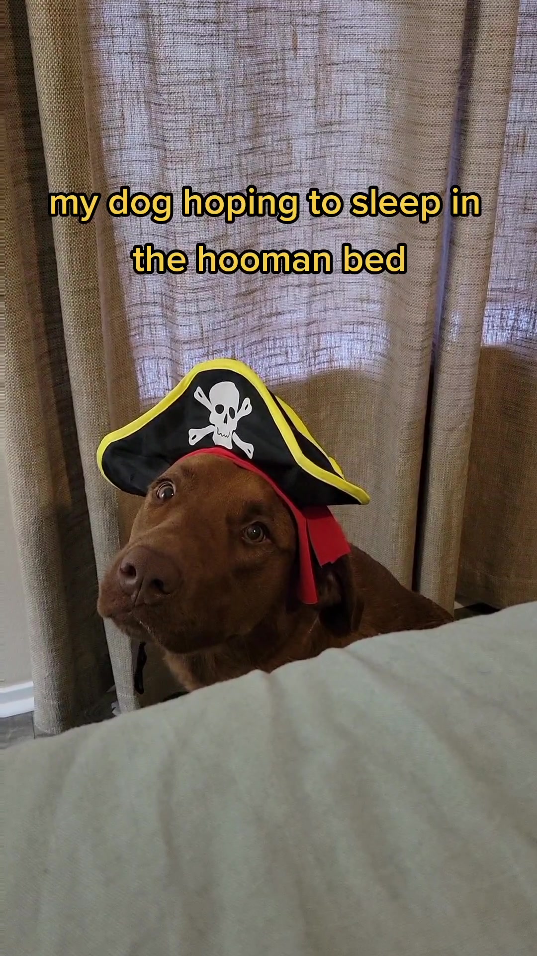 @hankinthehat