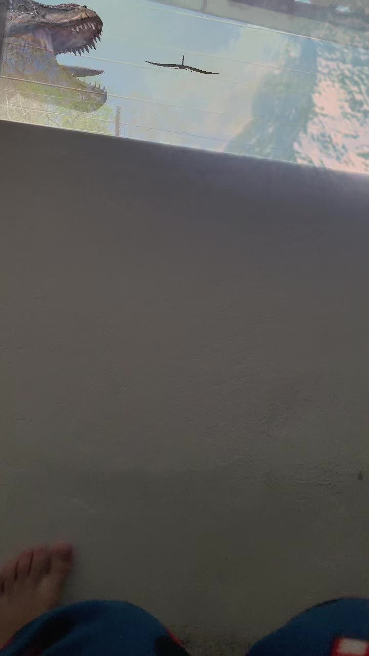 @Renata L. Galv&atilde;o