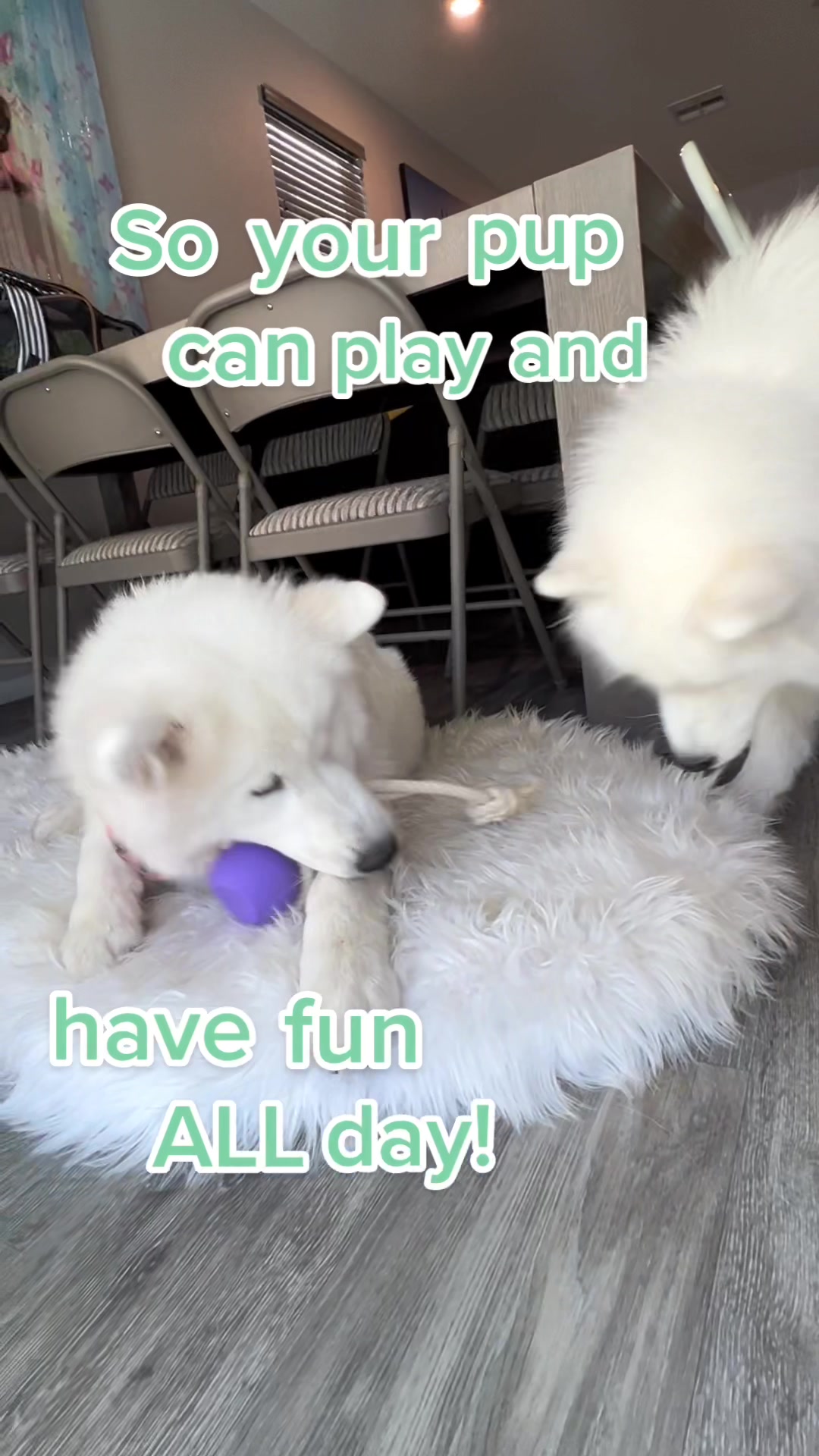 @ShopYomp