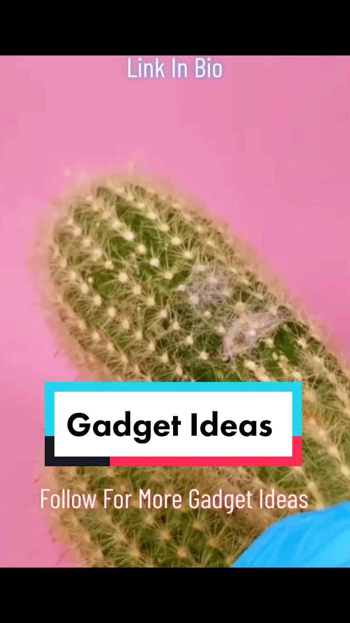 @BeautyTipsTechWizzSa