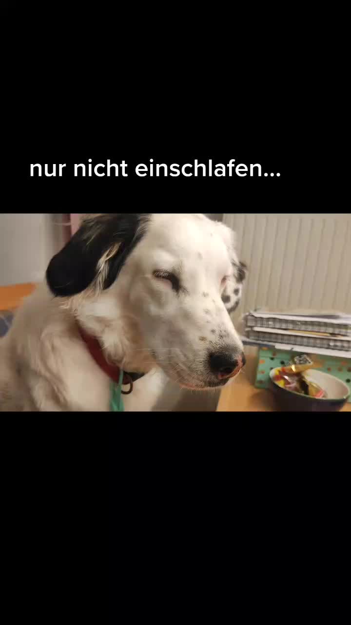 @S. T.