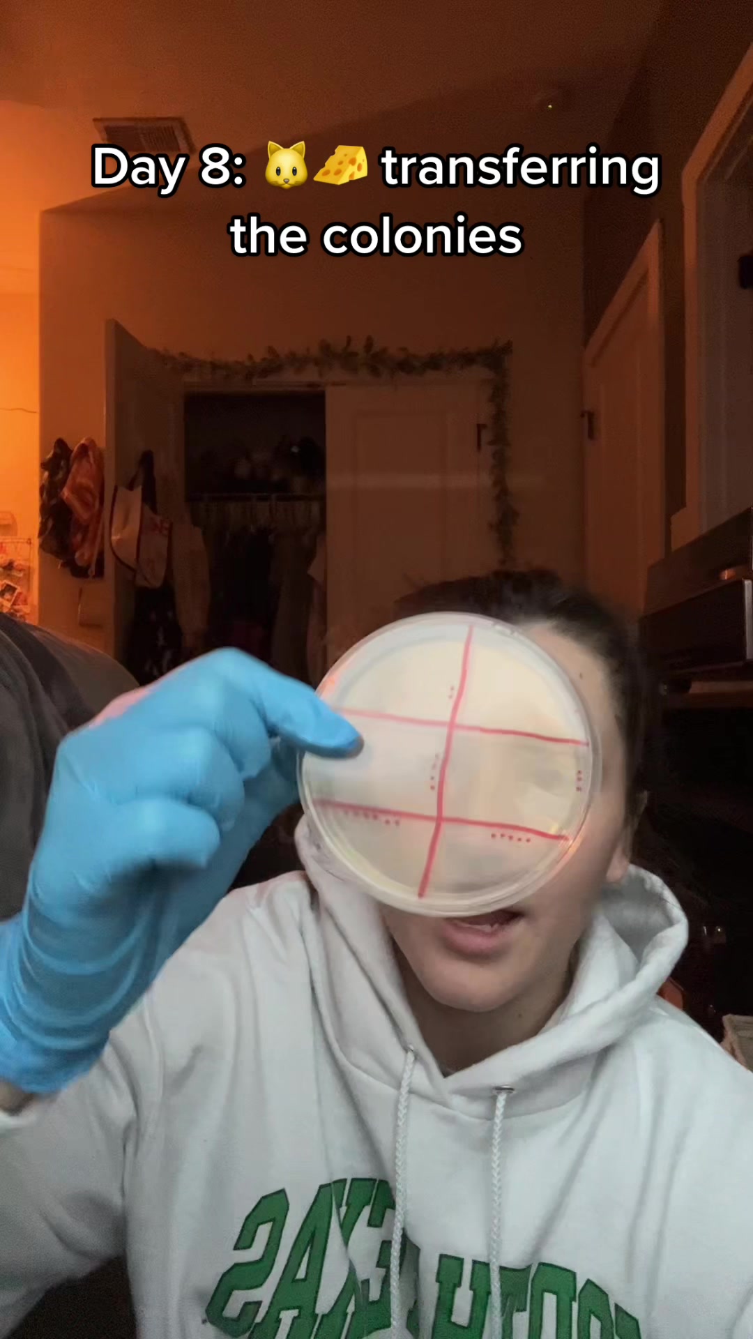 @futuredoctormegdvm