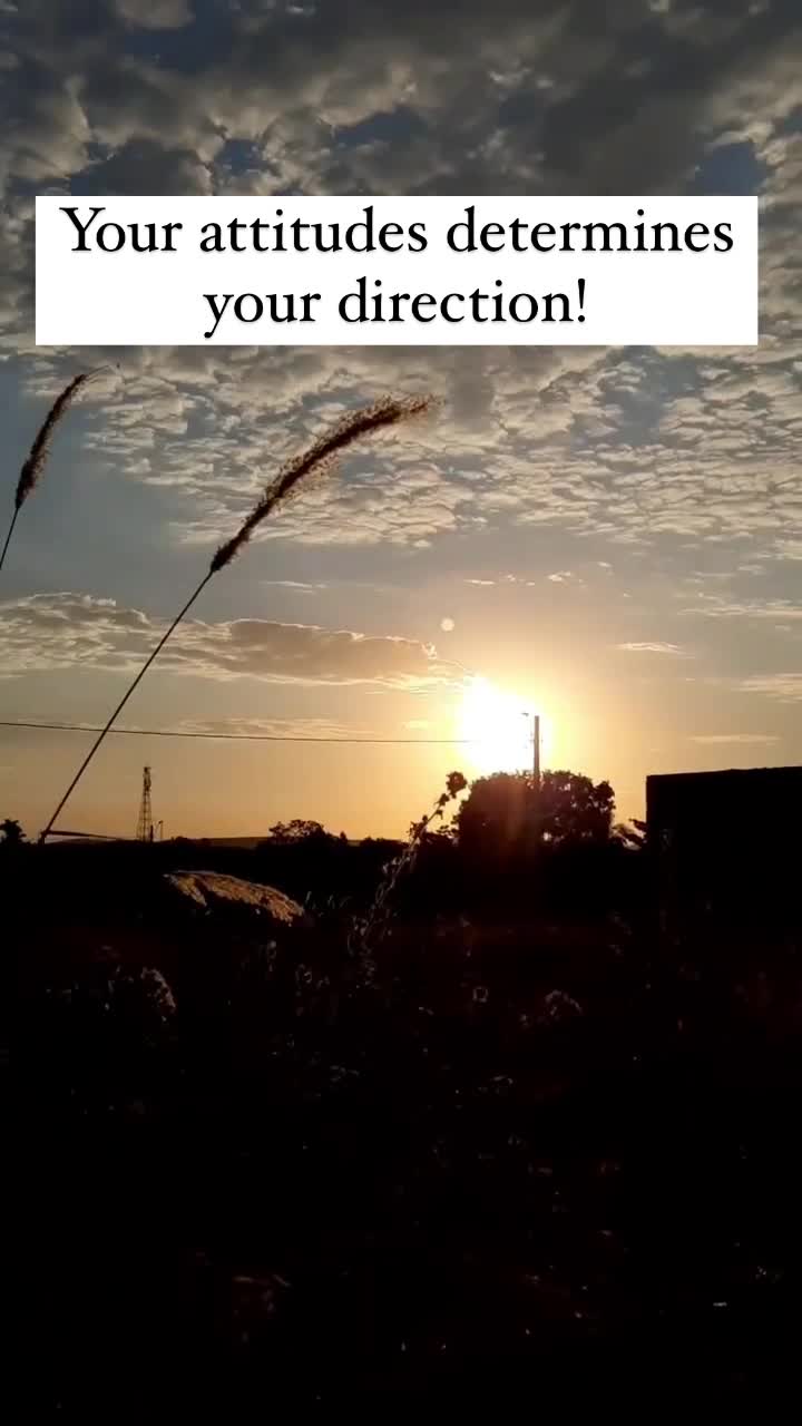@Divynemusic