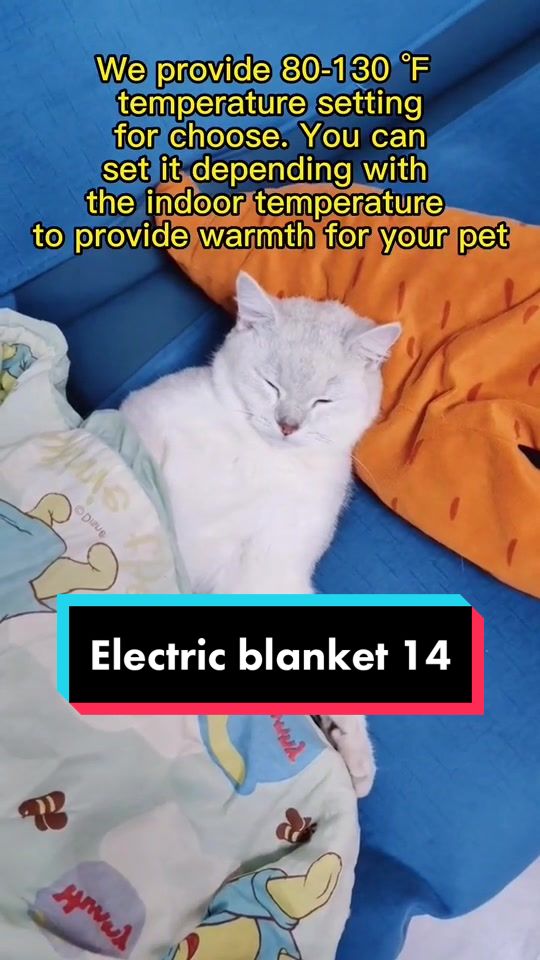 @Electric blanket factory