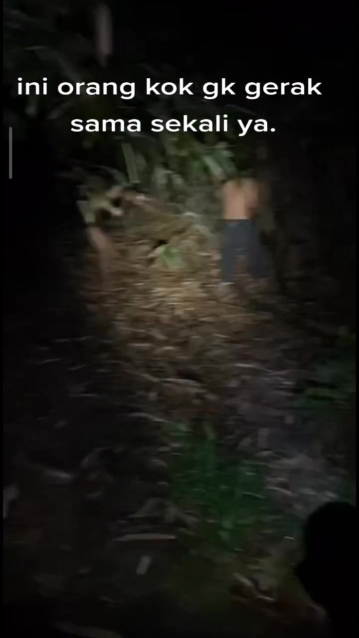 @santpecis