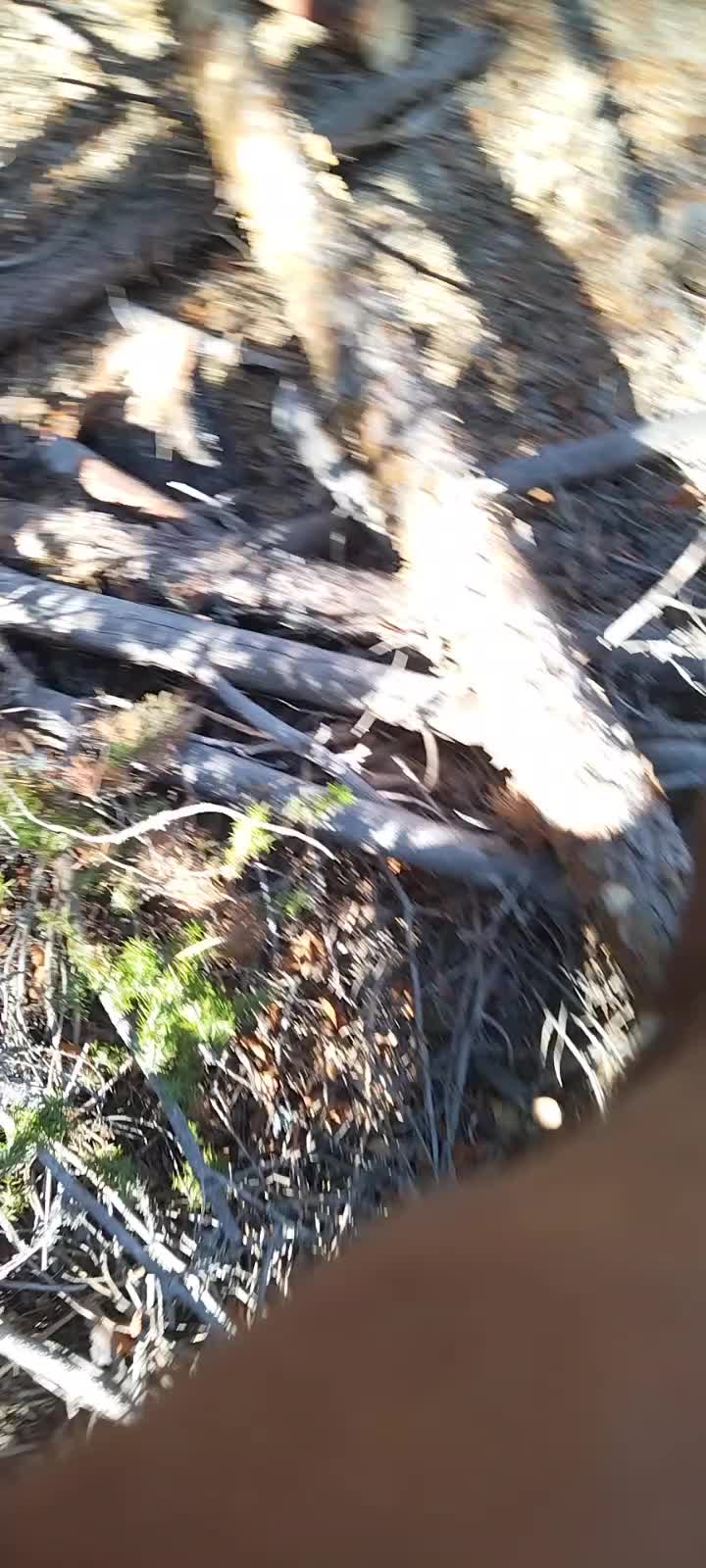 @user402089212676