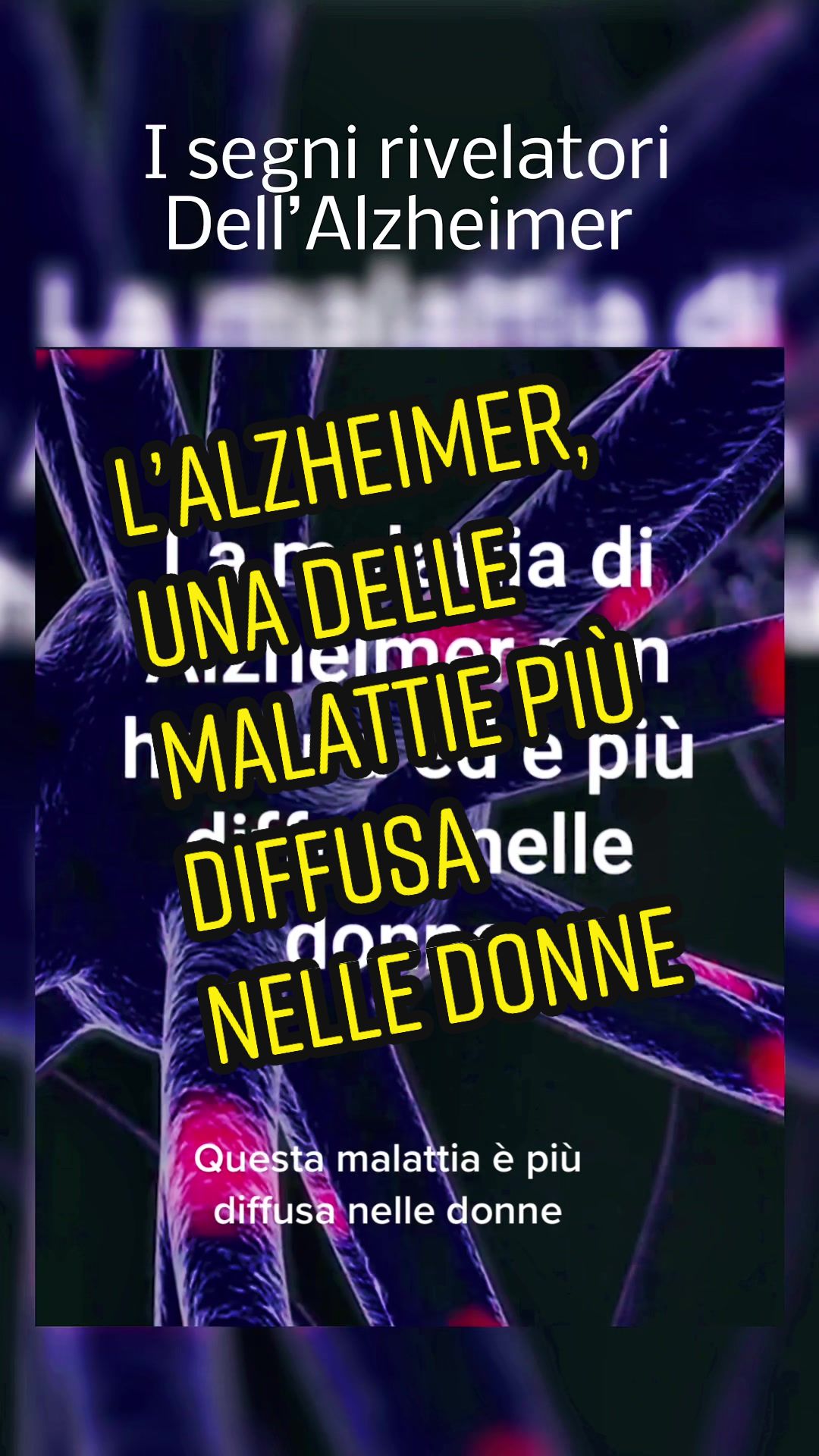 @Paolo ✔️