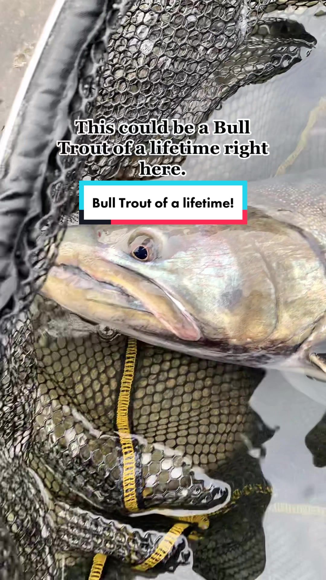 @Mike Koziura