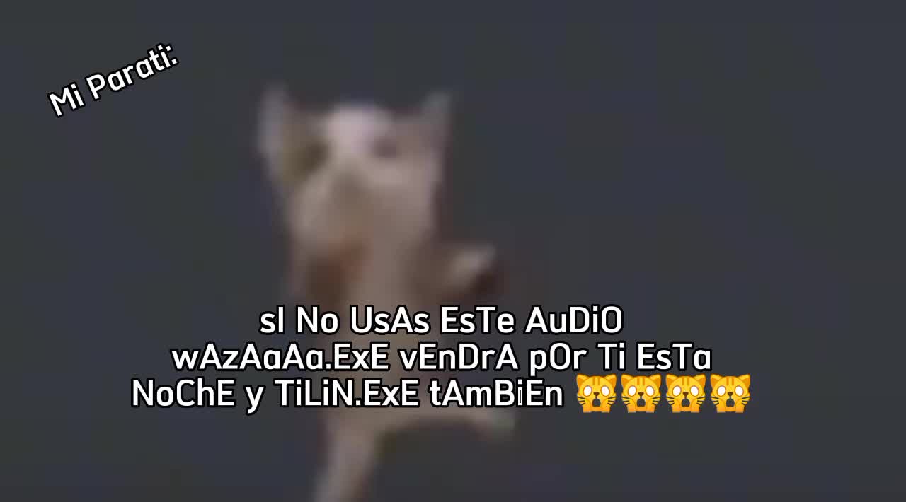 @🐱&hearts;️