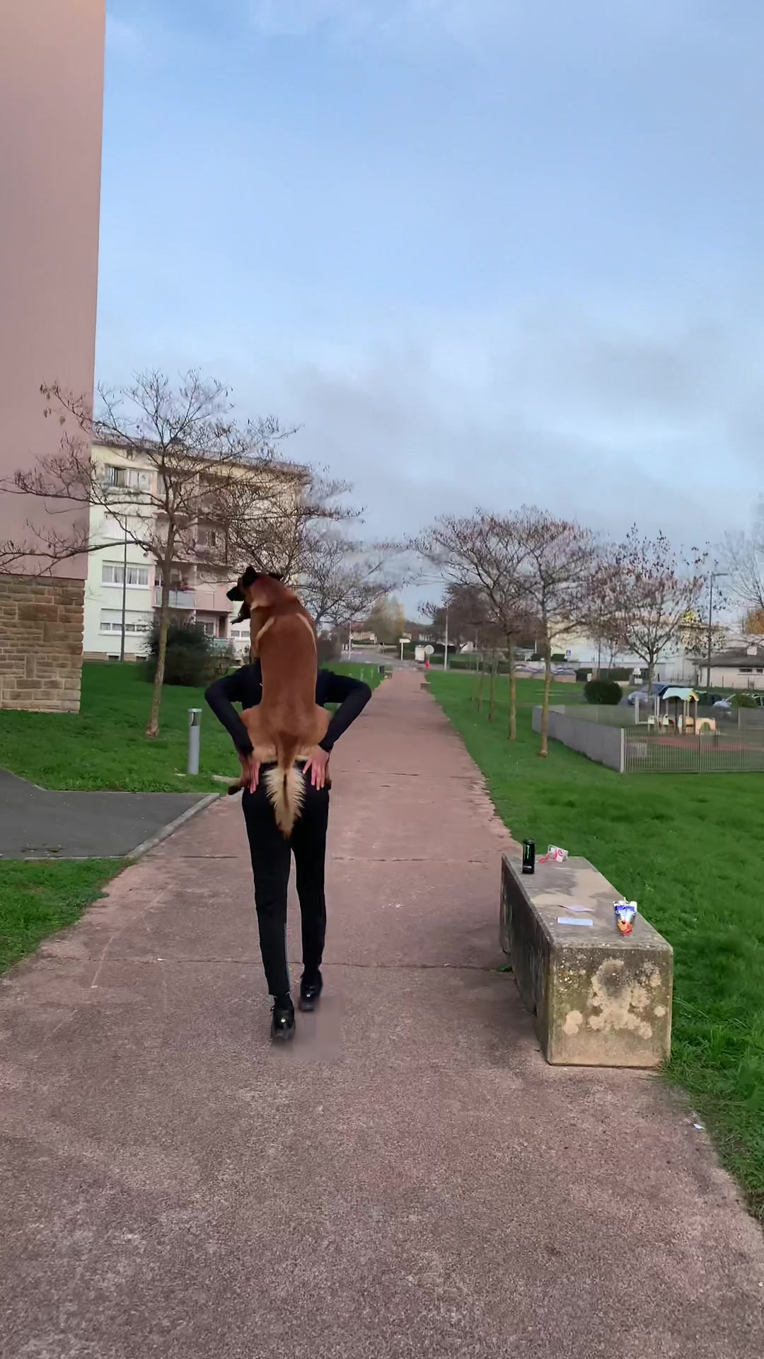 @Rios le malinois 🐕