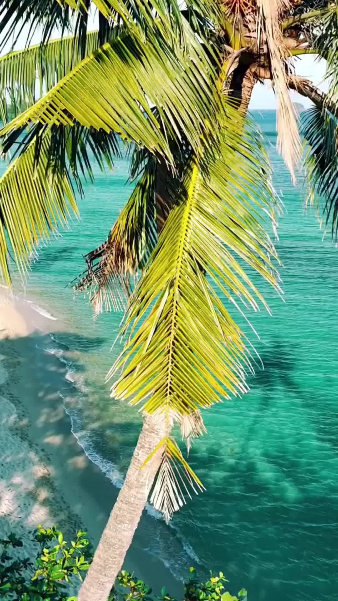 @Traveler