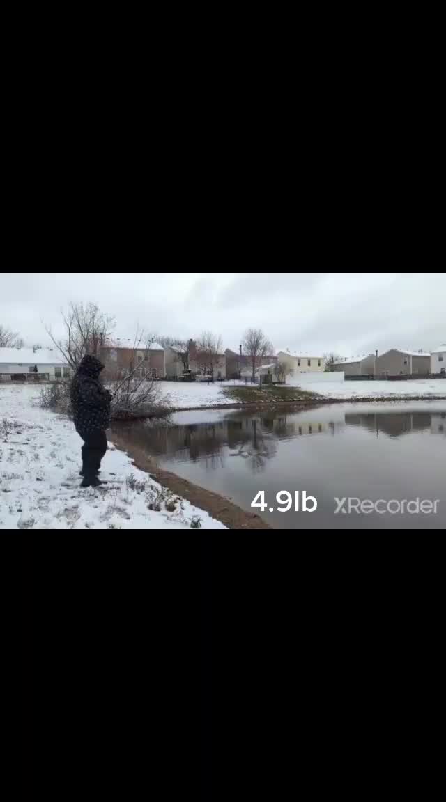 @Fishing with Metal