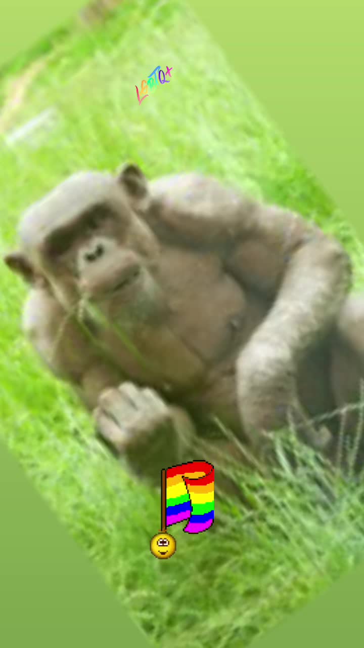 @Grimbo