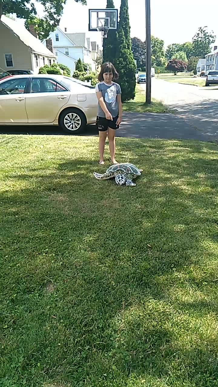 @gtg057