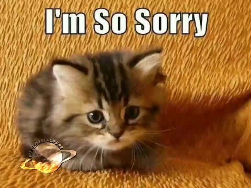 @✿✬willowsflowerr✬✿