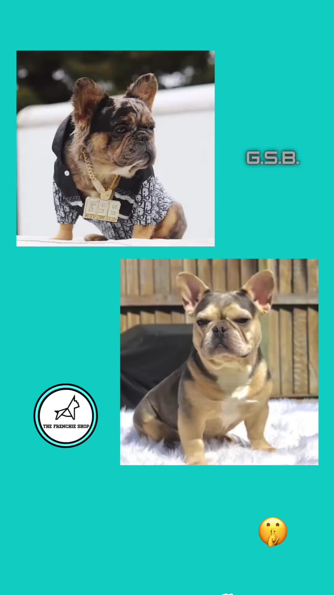 @TheFrenchieShop