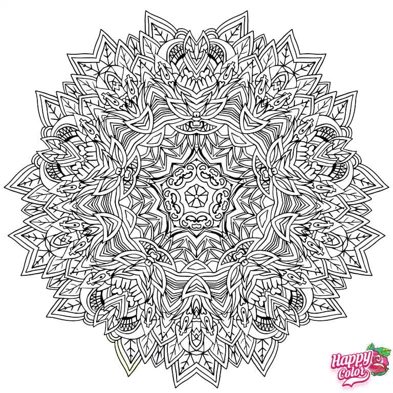 @satisfying.coloring.34