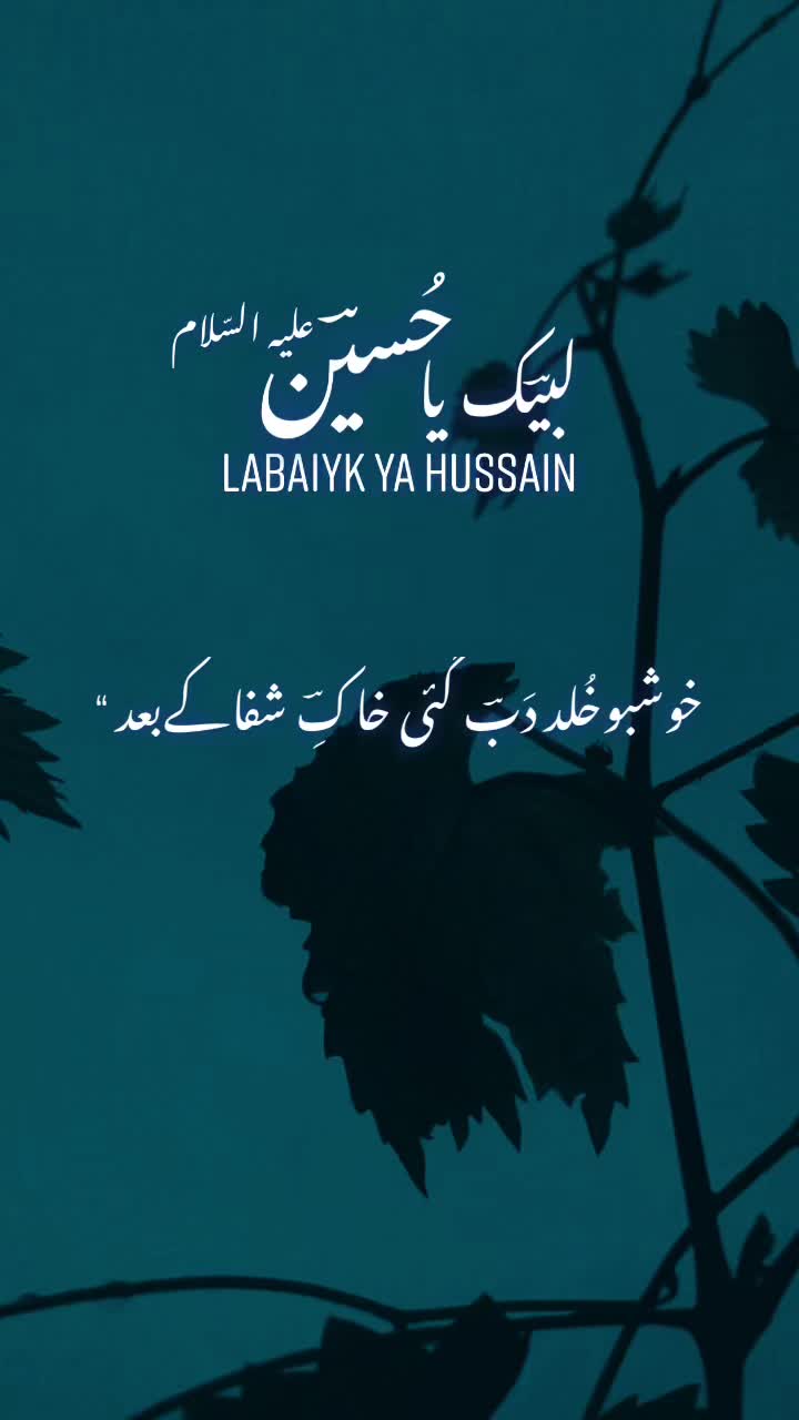 @ZeeshanHaider92110