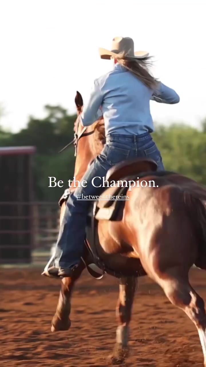 @Between The Reins