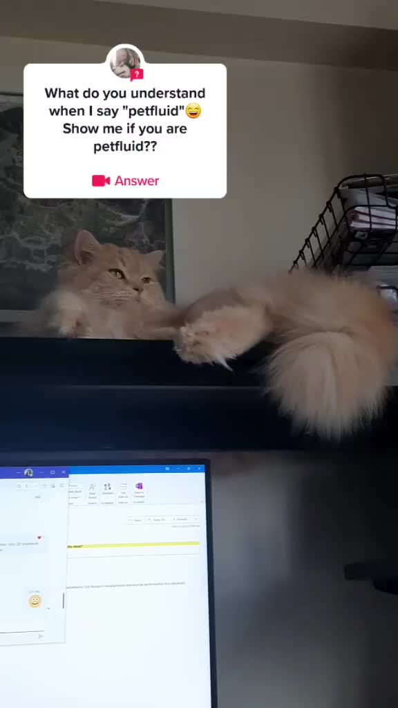 @Erzathehusky