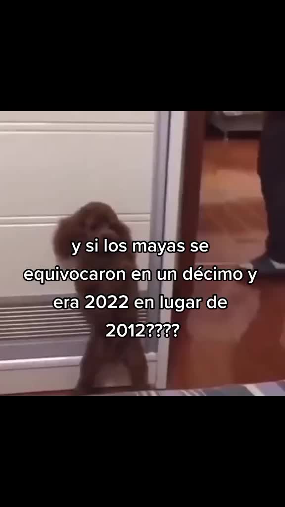 @Niskittles