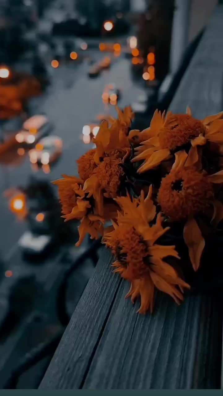 @04ENES10