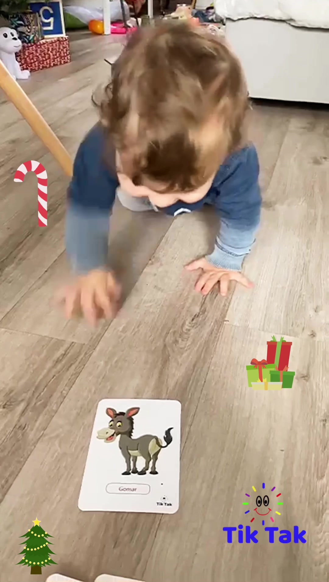 @tiktak_lodradidaktike