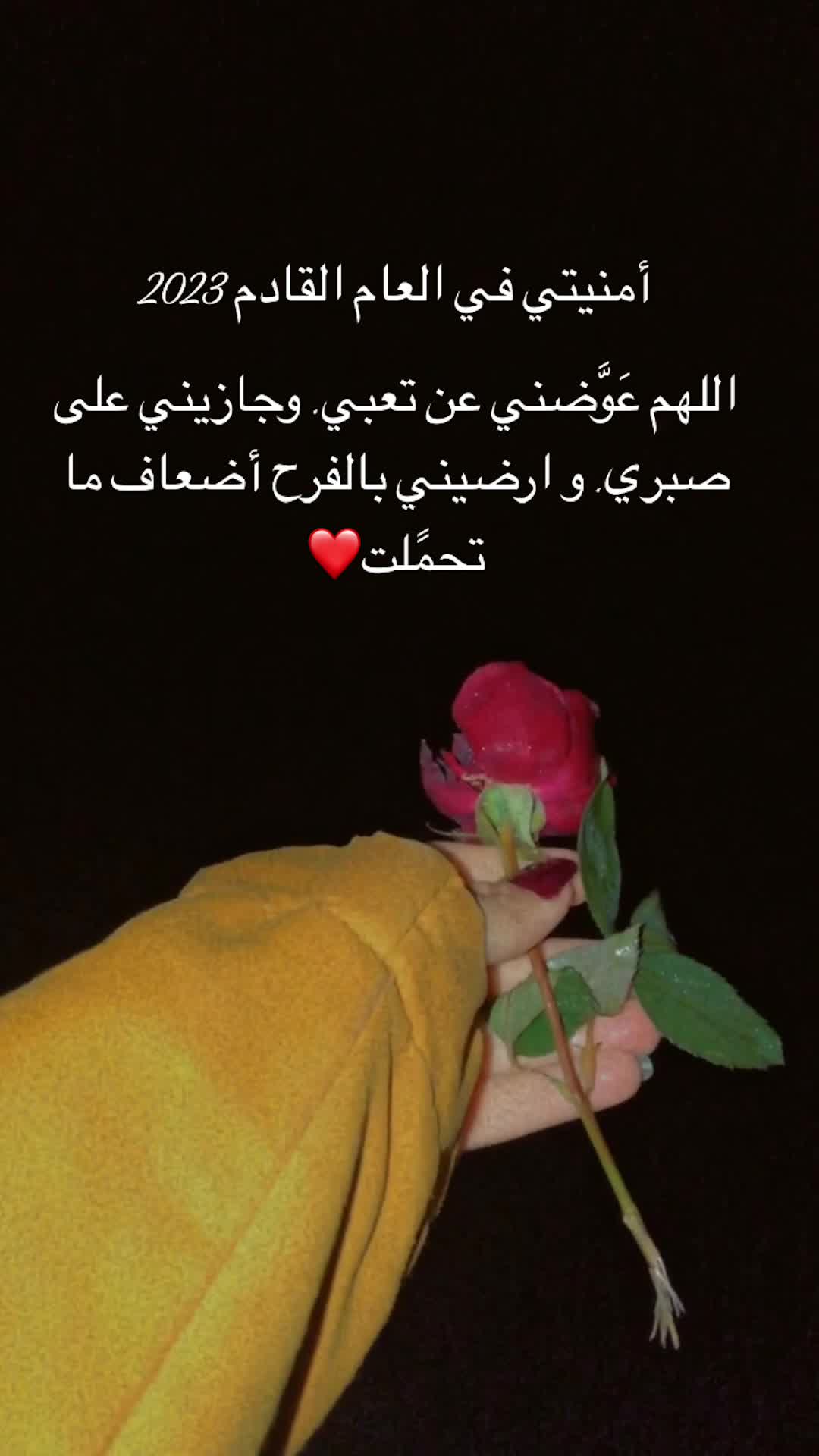 @لحظة الأمل 🫀🤍