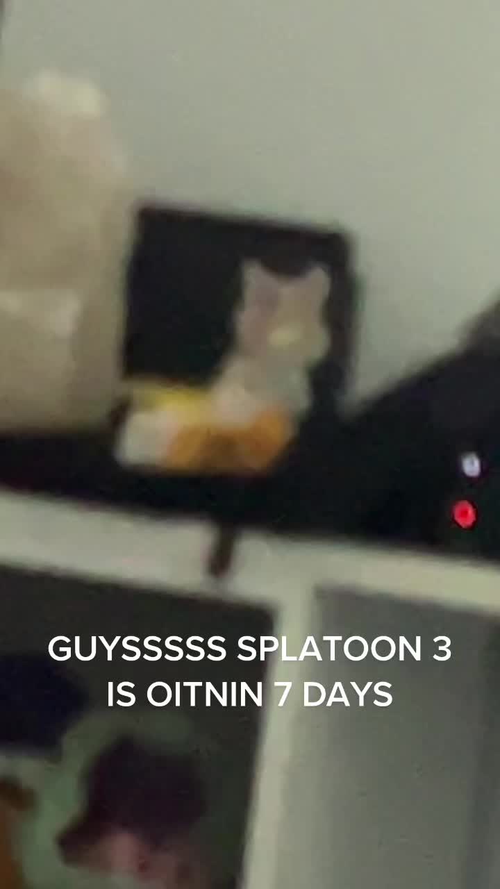 @SPLATOON 3