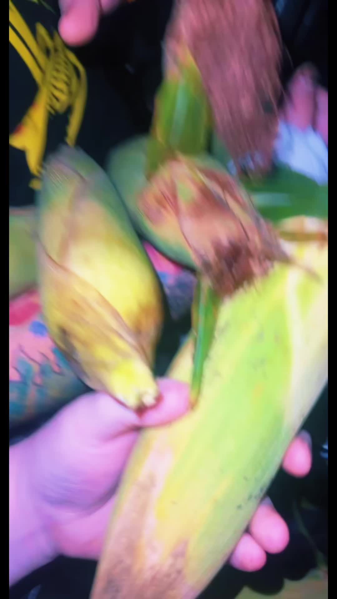 @Lil.bitxch444