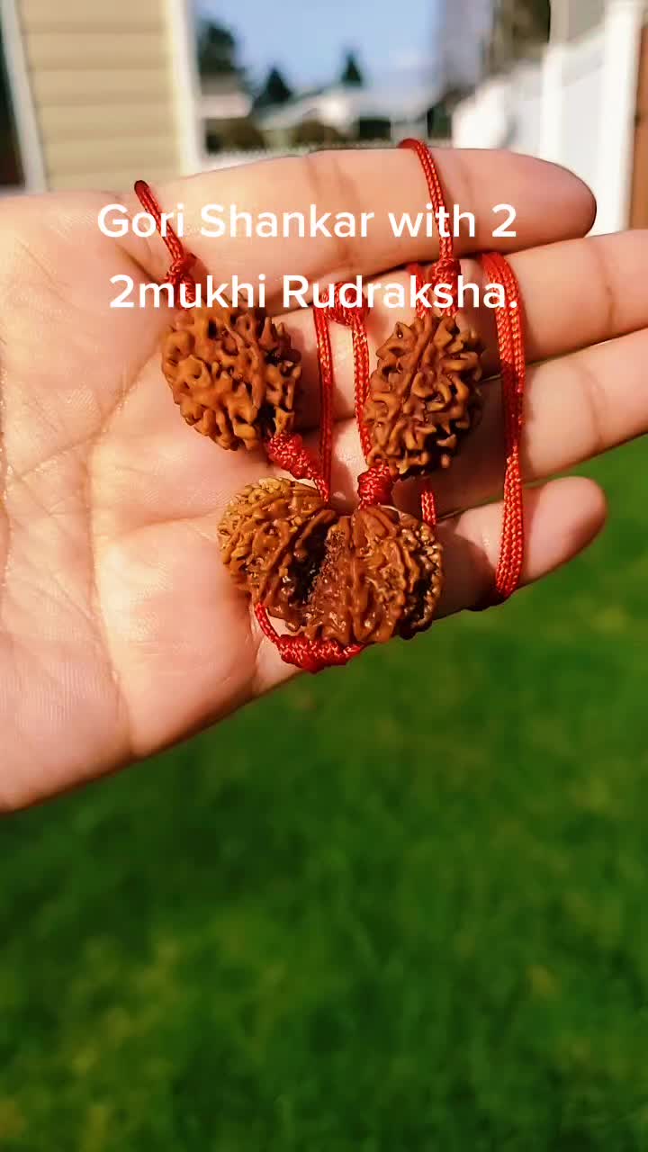 @nepal rudraksha