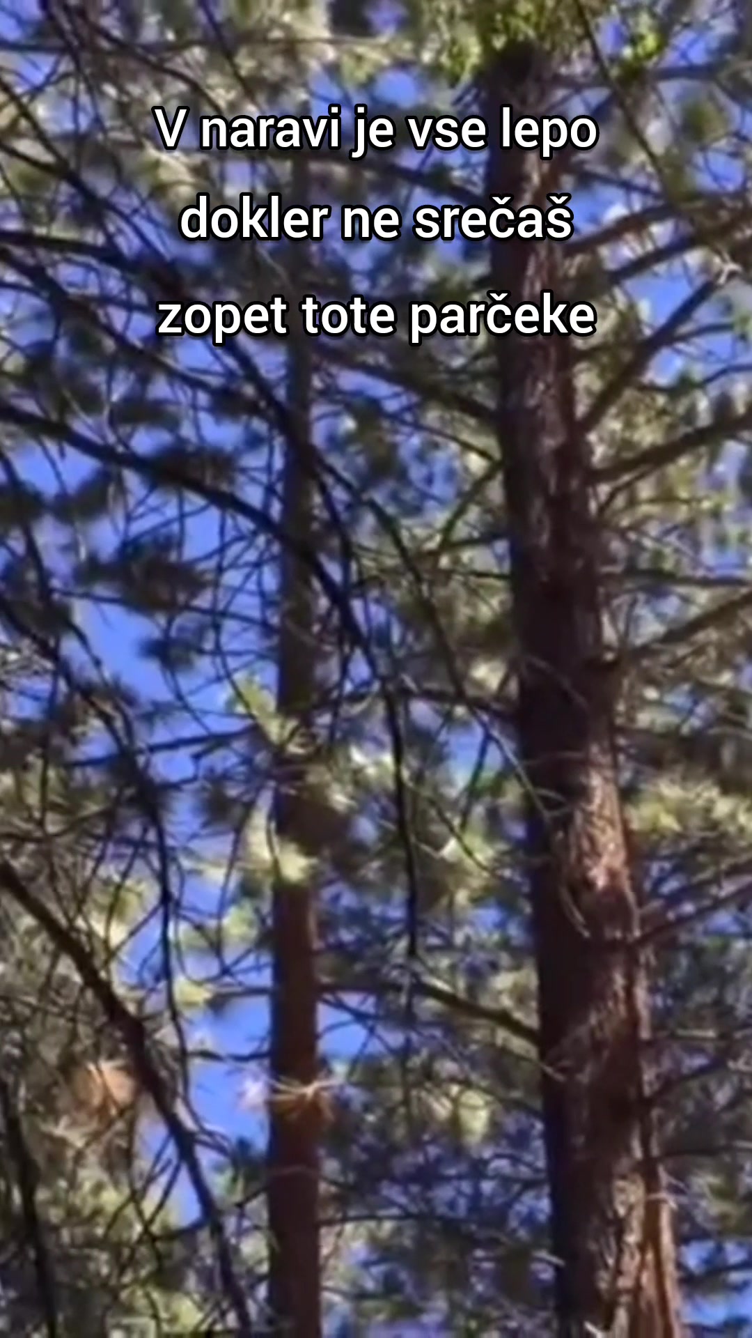 @Jotka