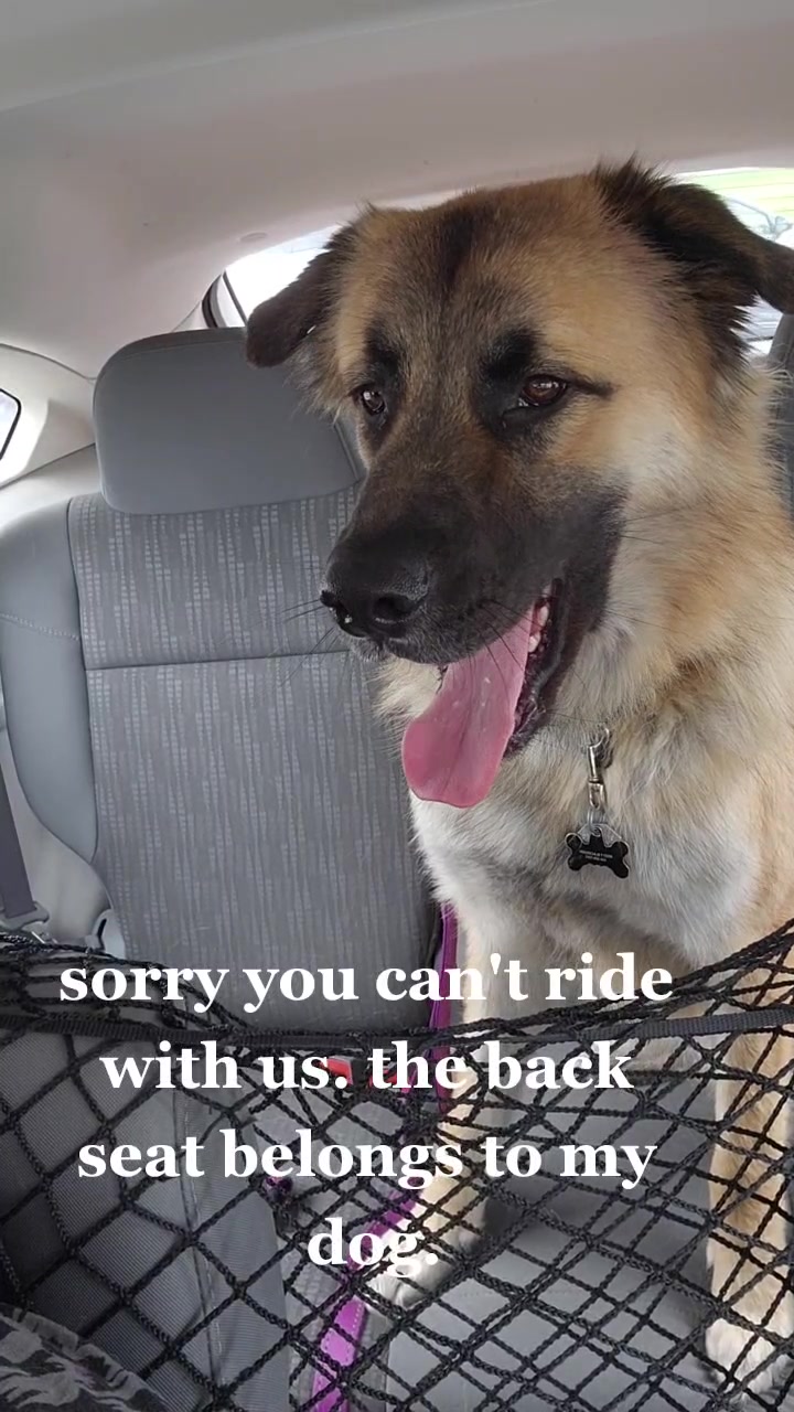 @dogface.and.birdface