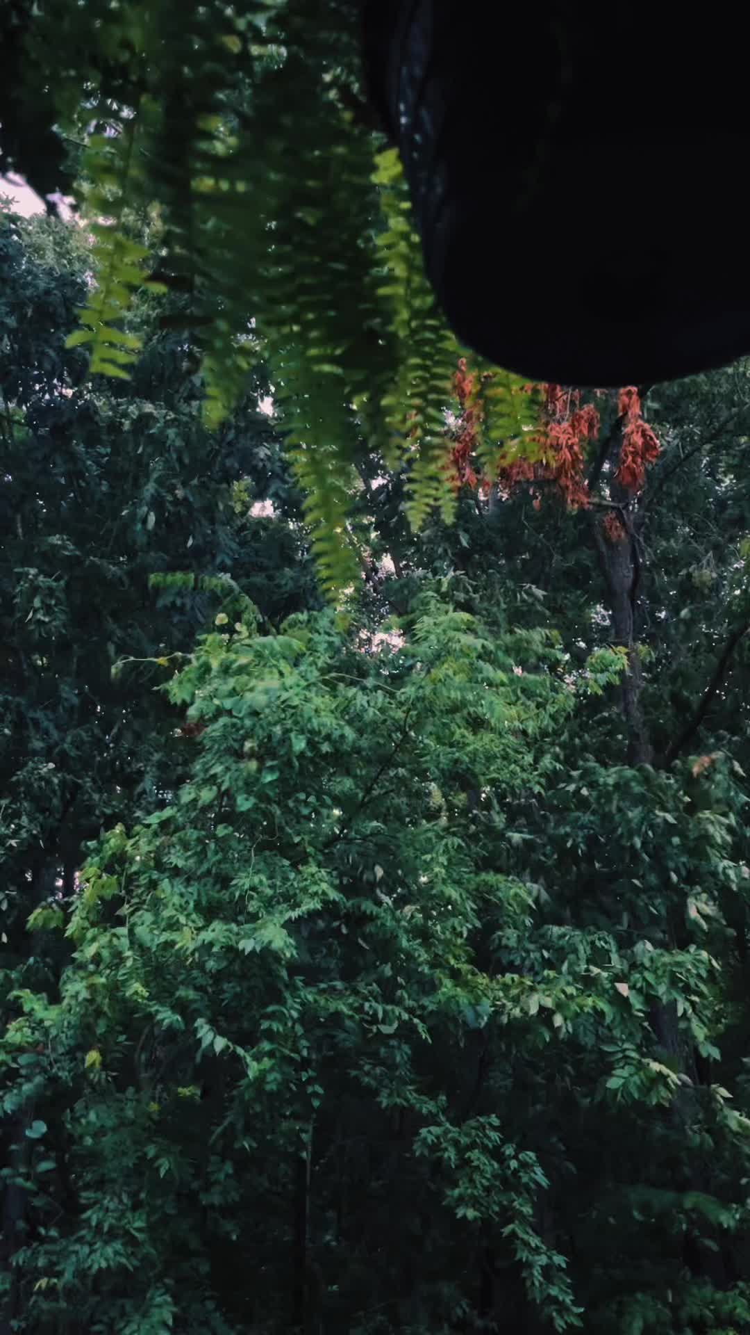 @life_with_evergreen