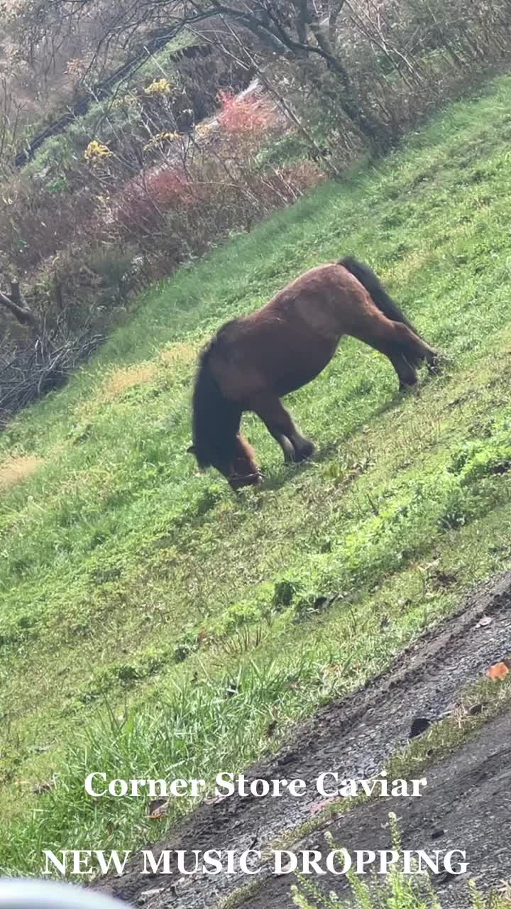 @bigbucci666
