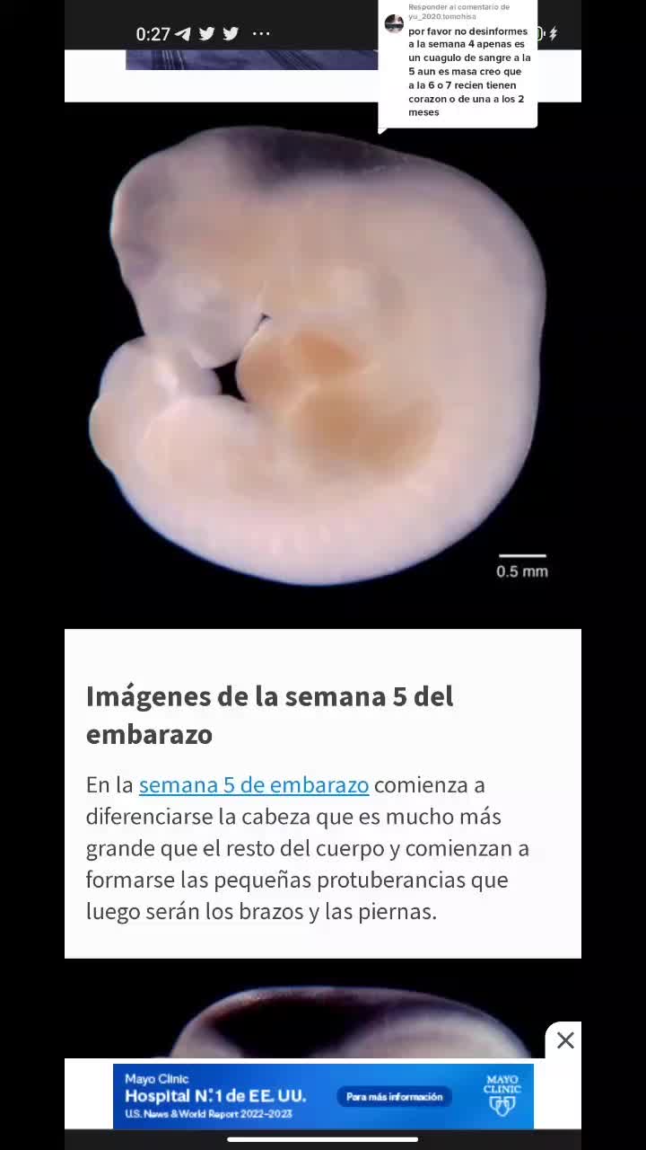 @El hater de los hater