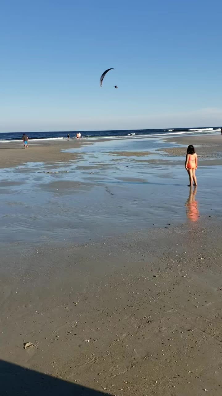 @Wholebeachahead ⚓