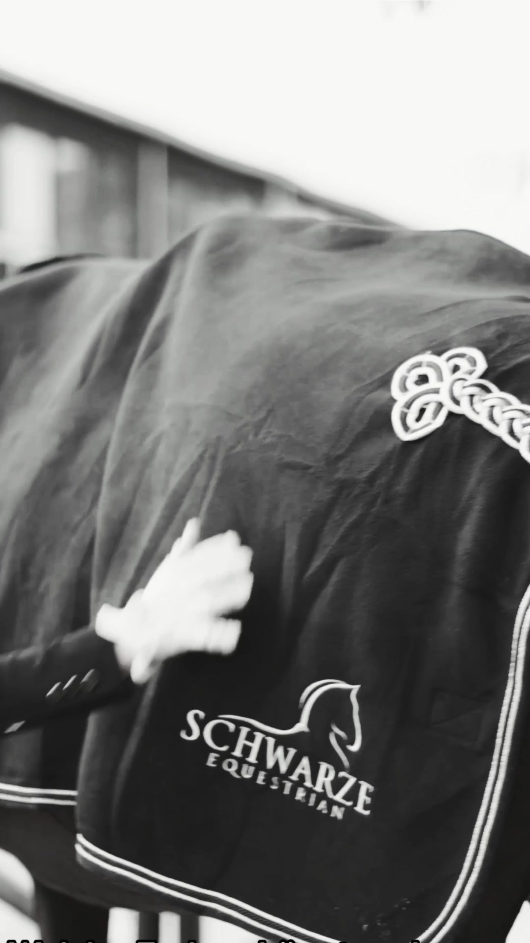 @Schwarze Equestrian