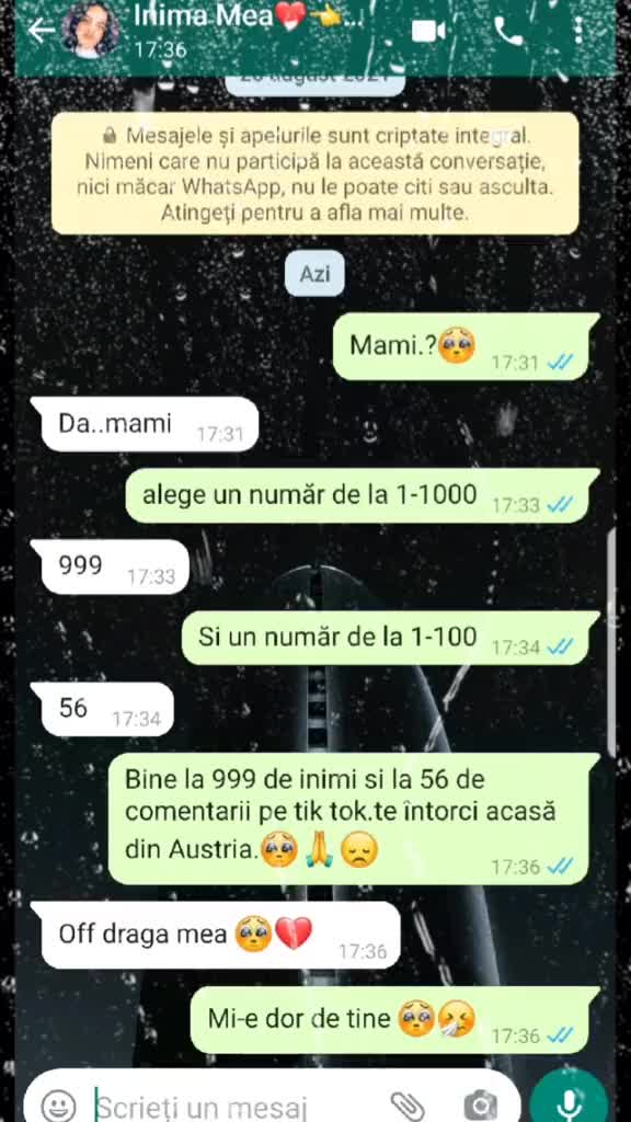 @mdfkevelin292