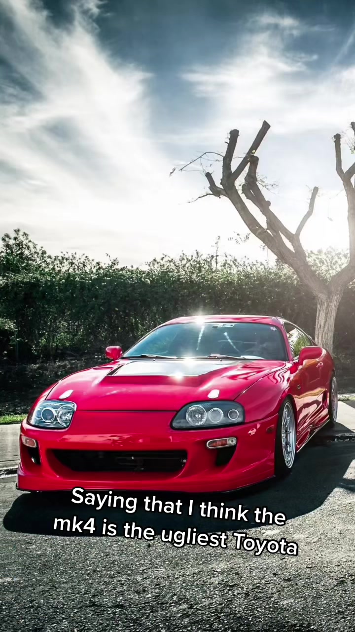 @tofu_4agze