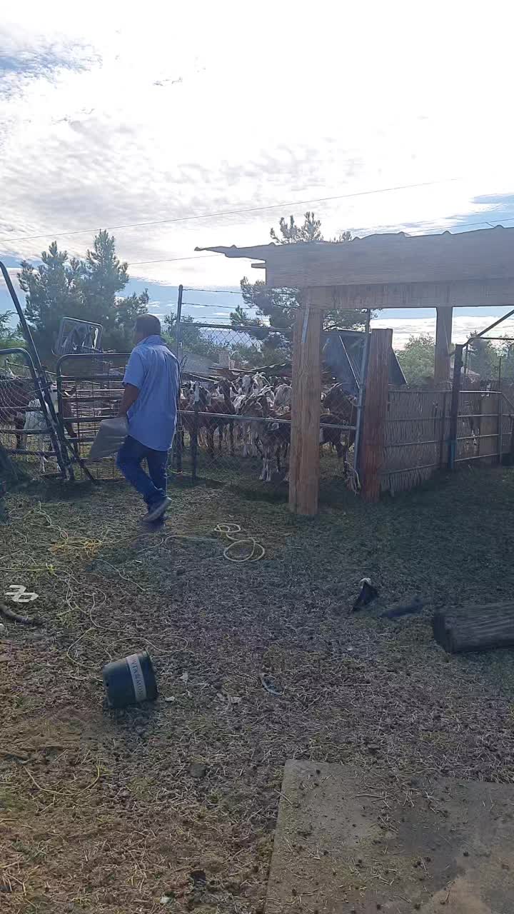 @josemontesgonzale6