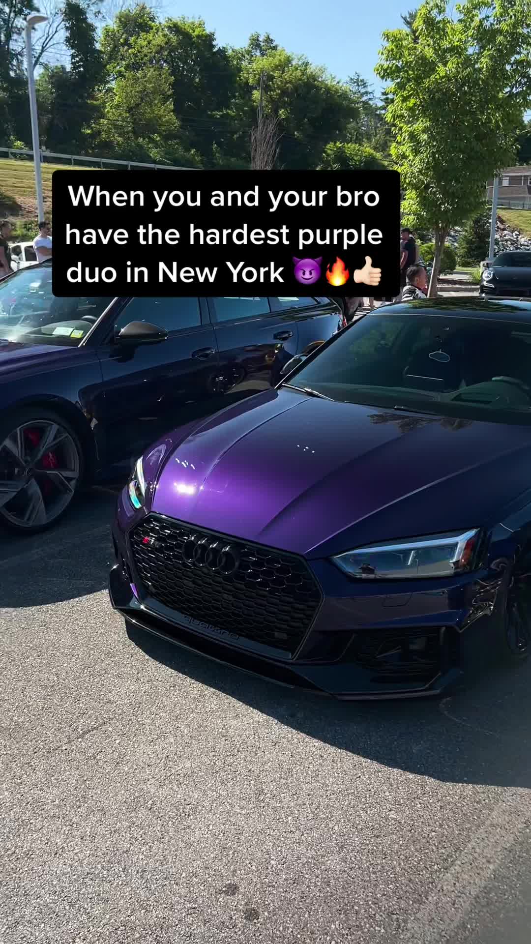 @Tony T. 🦇