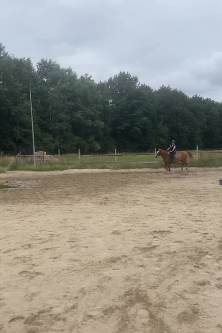 @🧡🐴