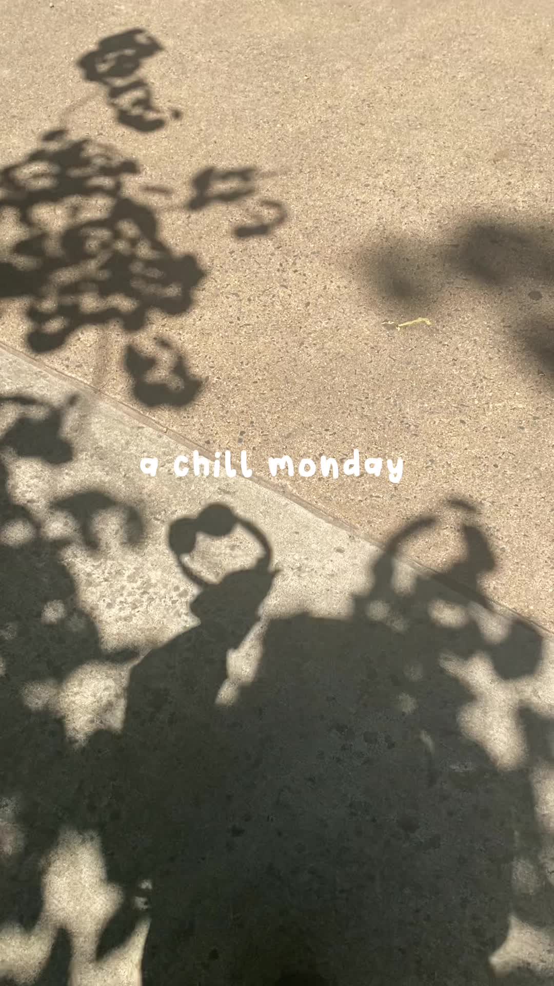 @lilly !