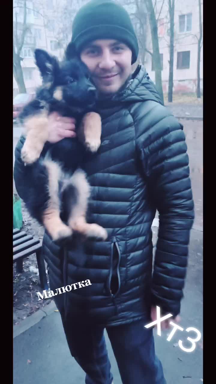 @dimonхтз