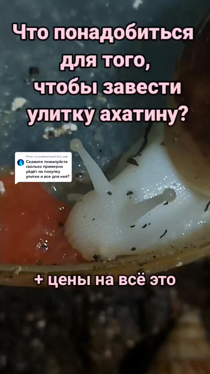 @🐌Яся Ясень🐌