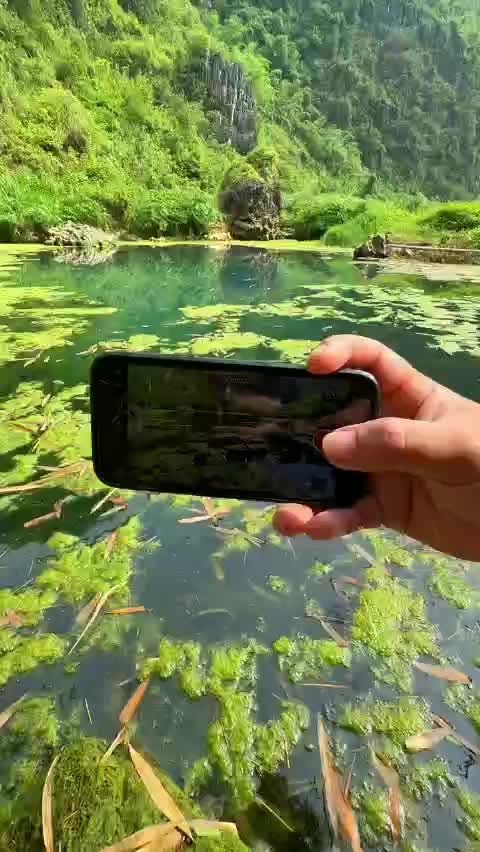 @Mhasamuv.3
