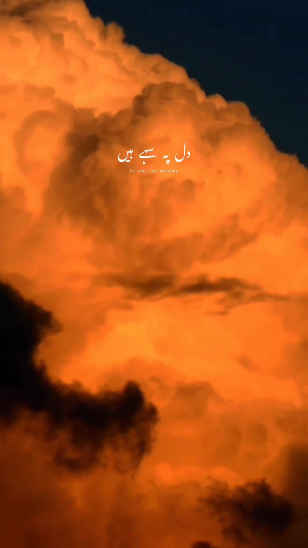 @Amna Mir❥