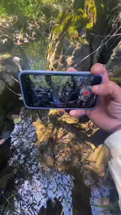 @Mhasamuv.3