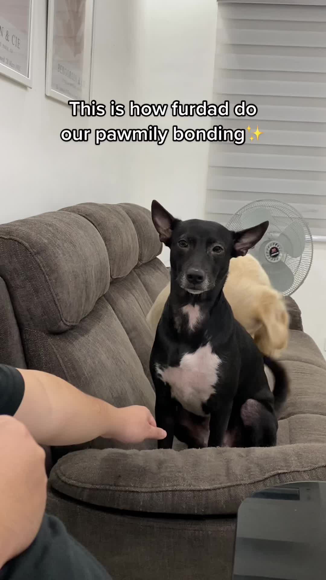 @cammydudels